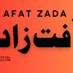 Afat Zada Urdu Novel