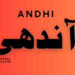 Andhi Urdu Novel